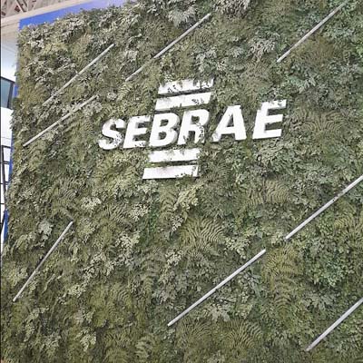 Corporativo